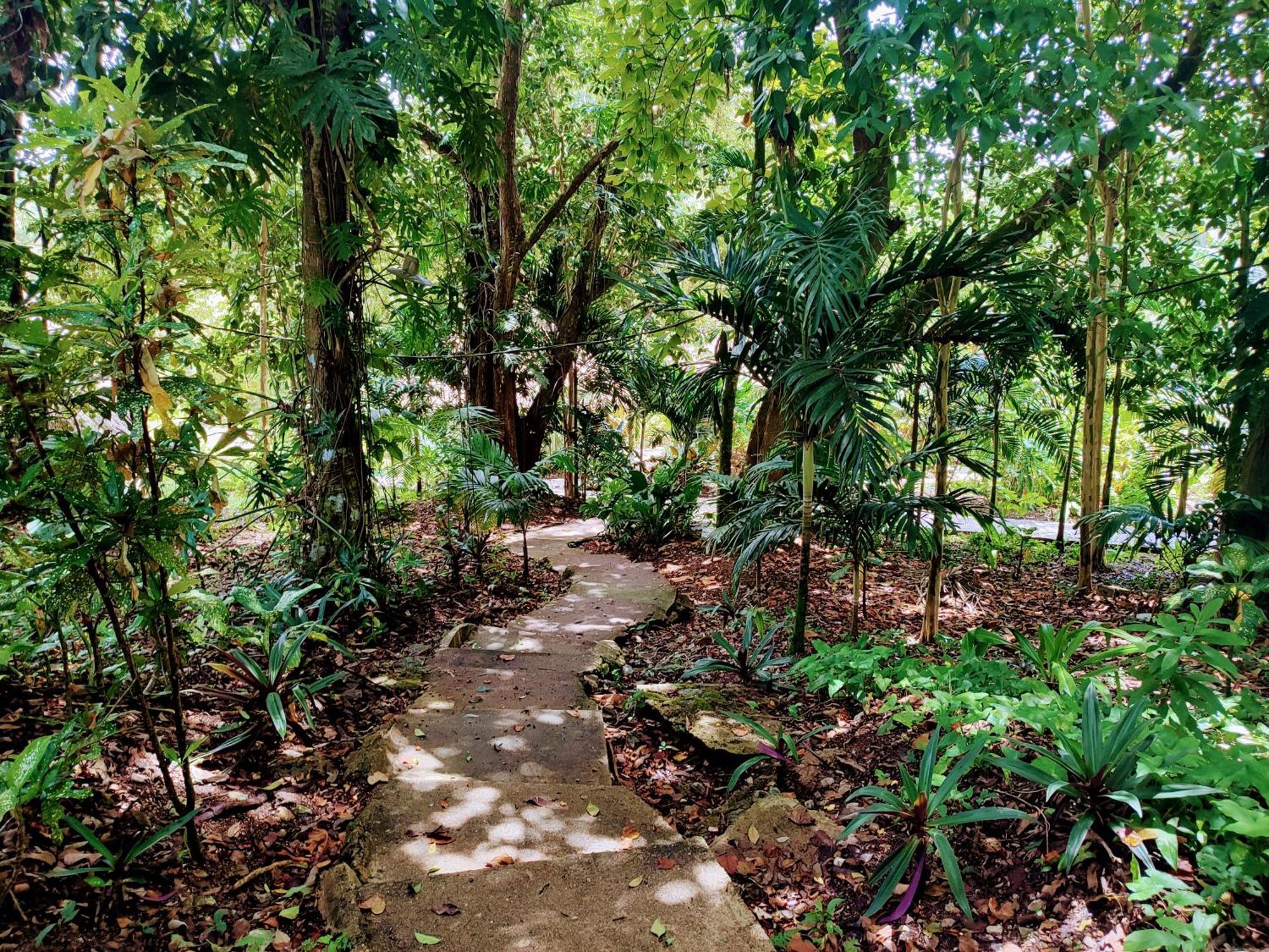 Maya Mountain Lodge San Ignacio Eksteriør billede