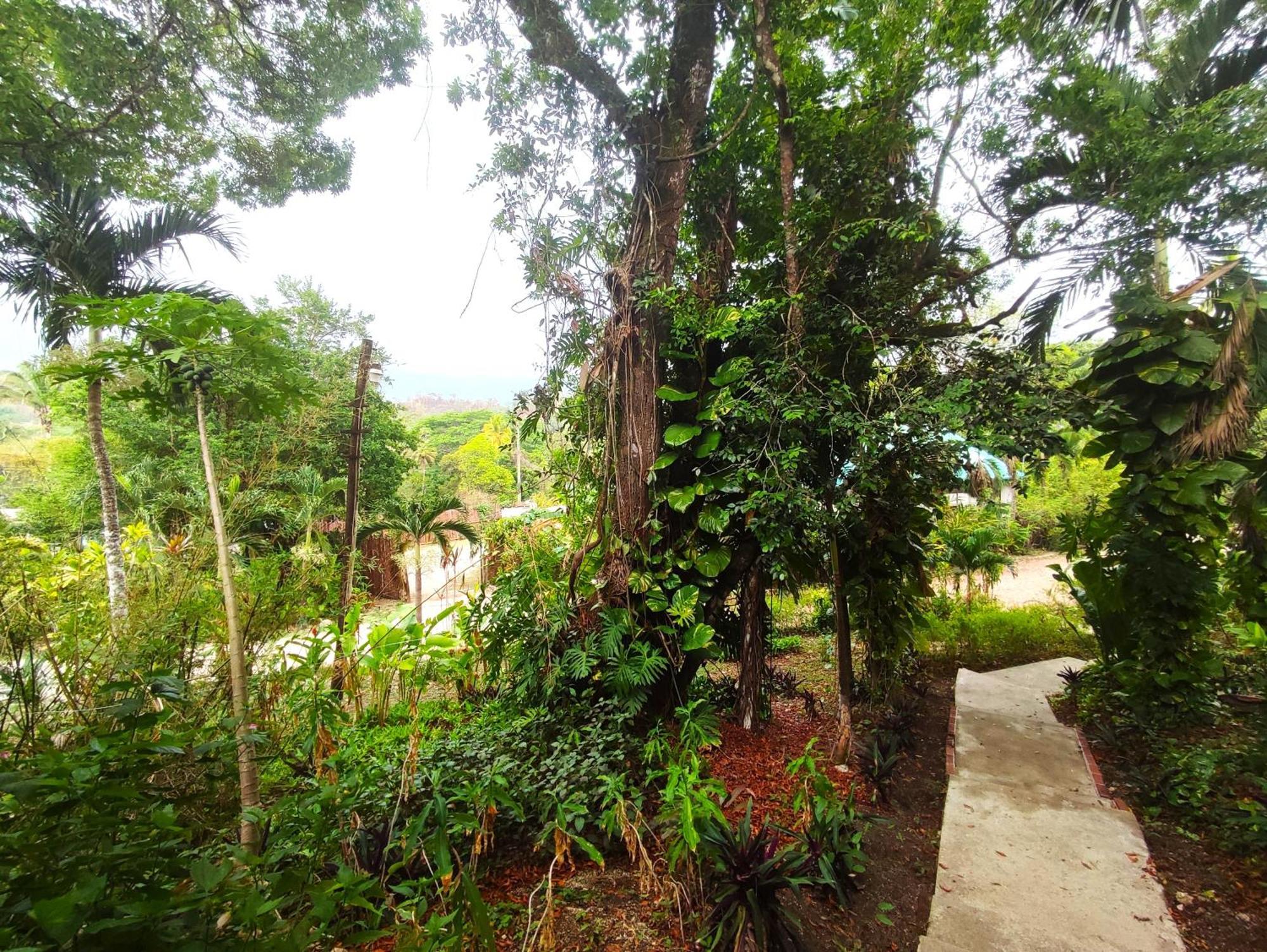 Maya Mountain Lodge San Ignacio Eksteriør billede
