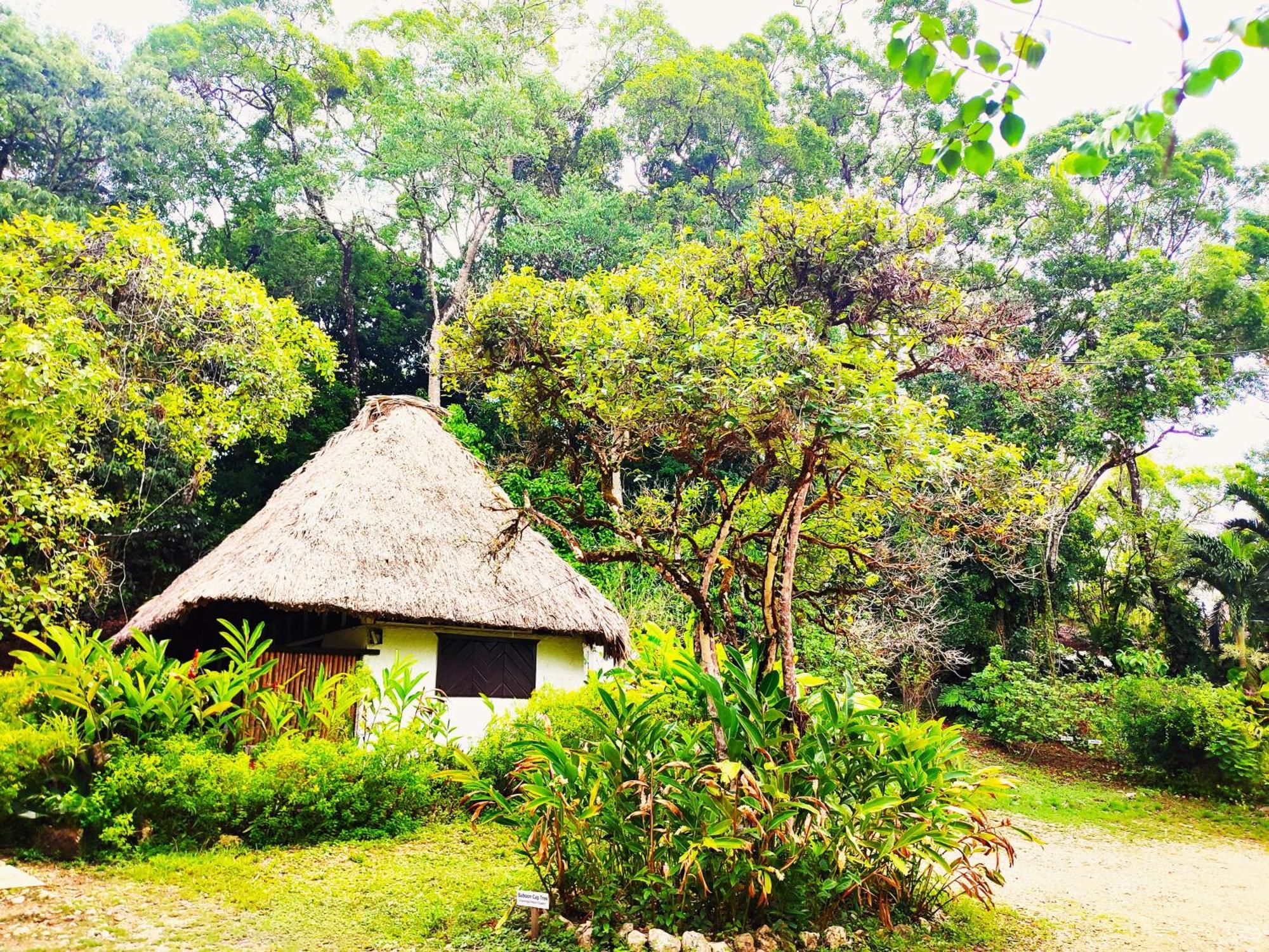 Maya Mountain Lodge San Ignacio Eksteriør billede
