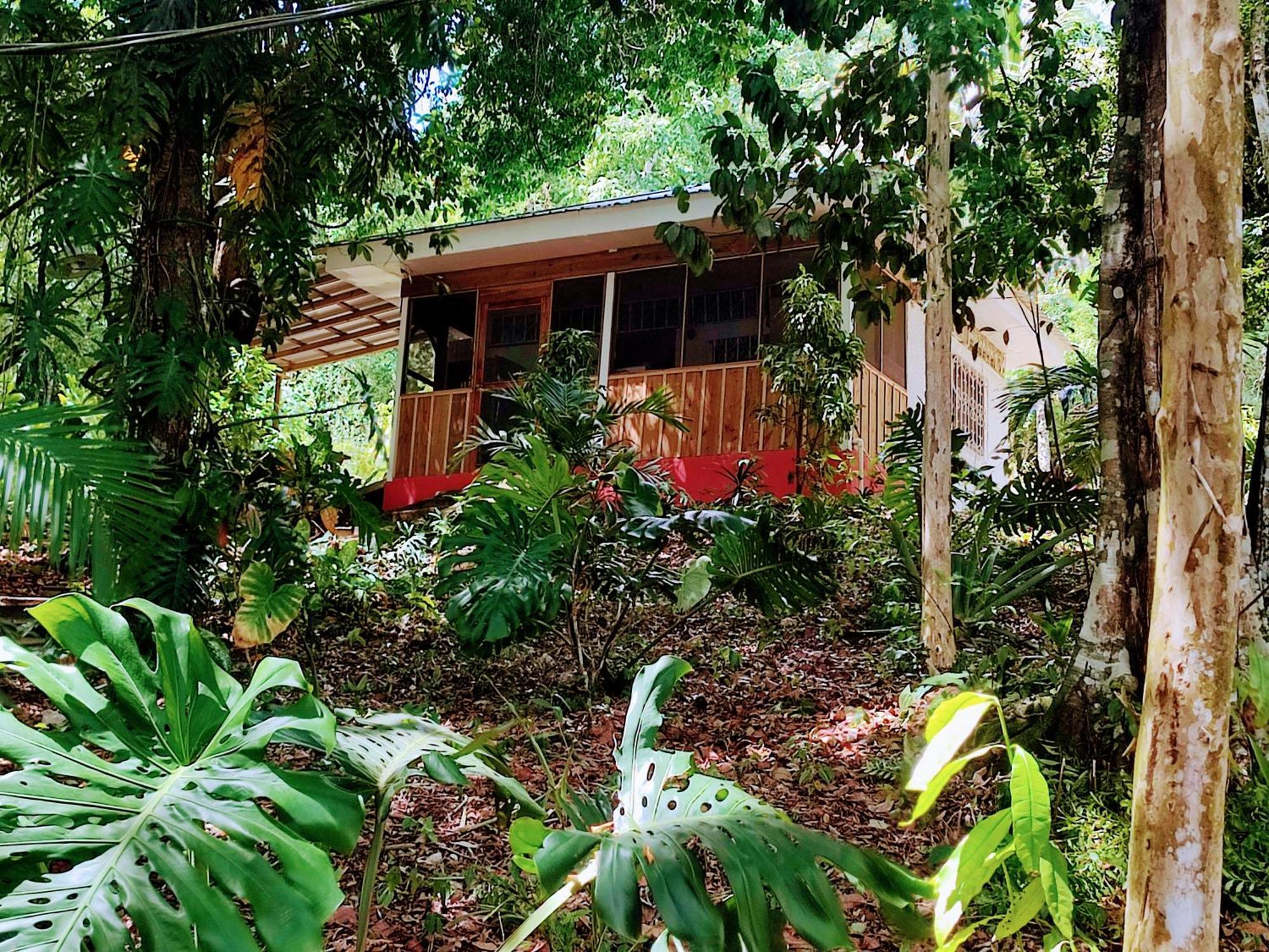 Maya Mountain Lodge San Ignacio Eksteriør billede