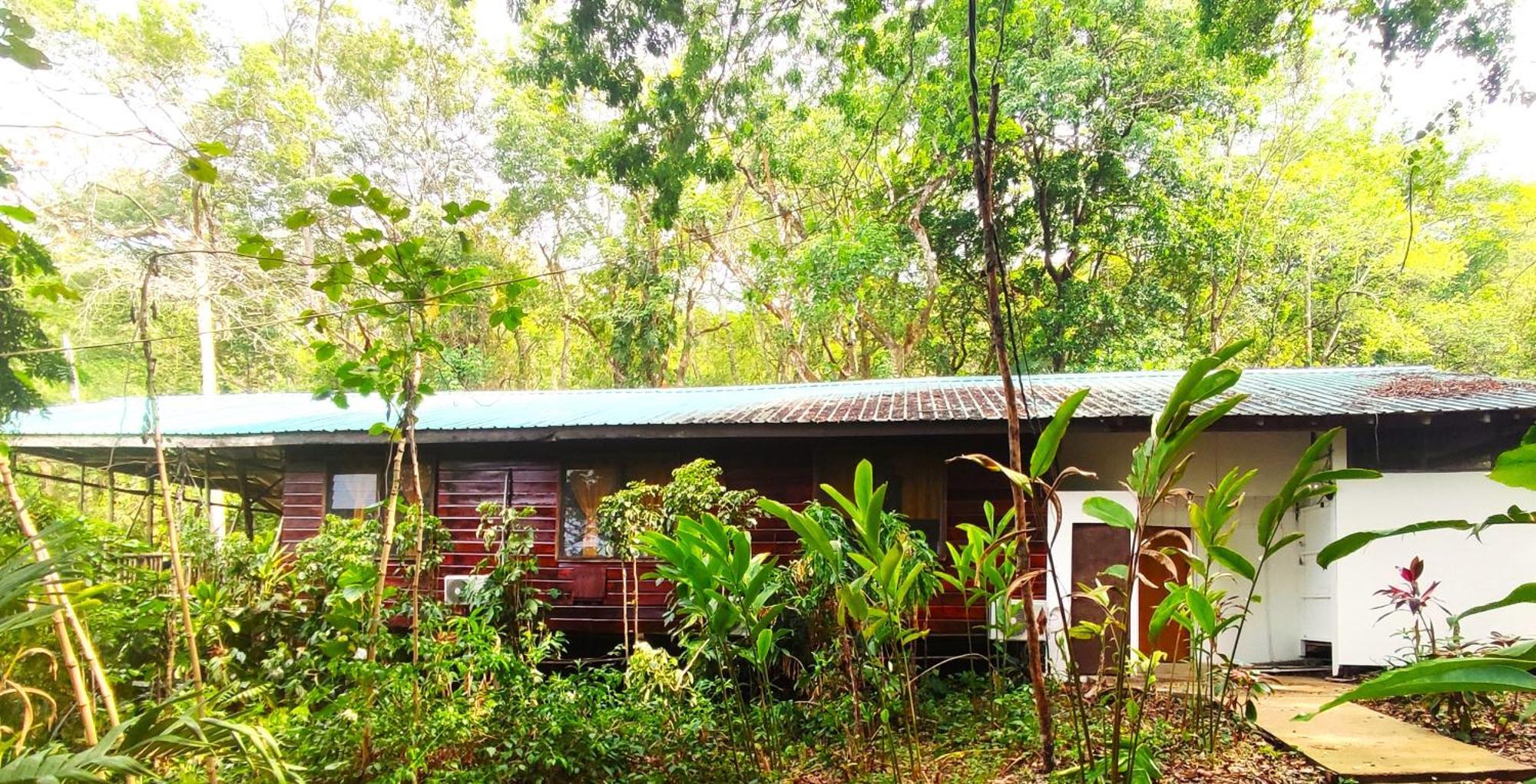 Maya Mountain Lodge San Ignacio Eksteriør billede