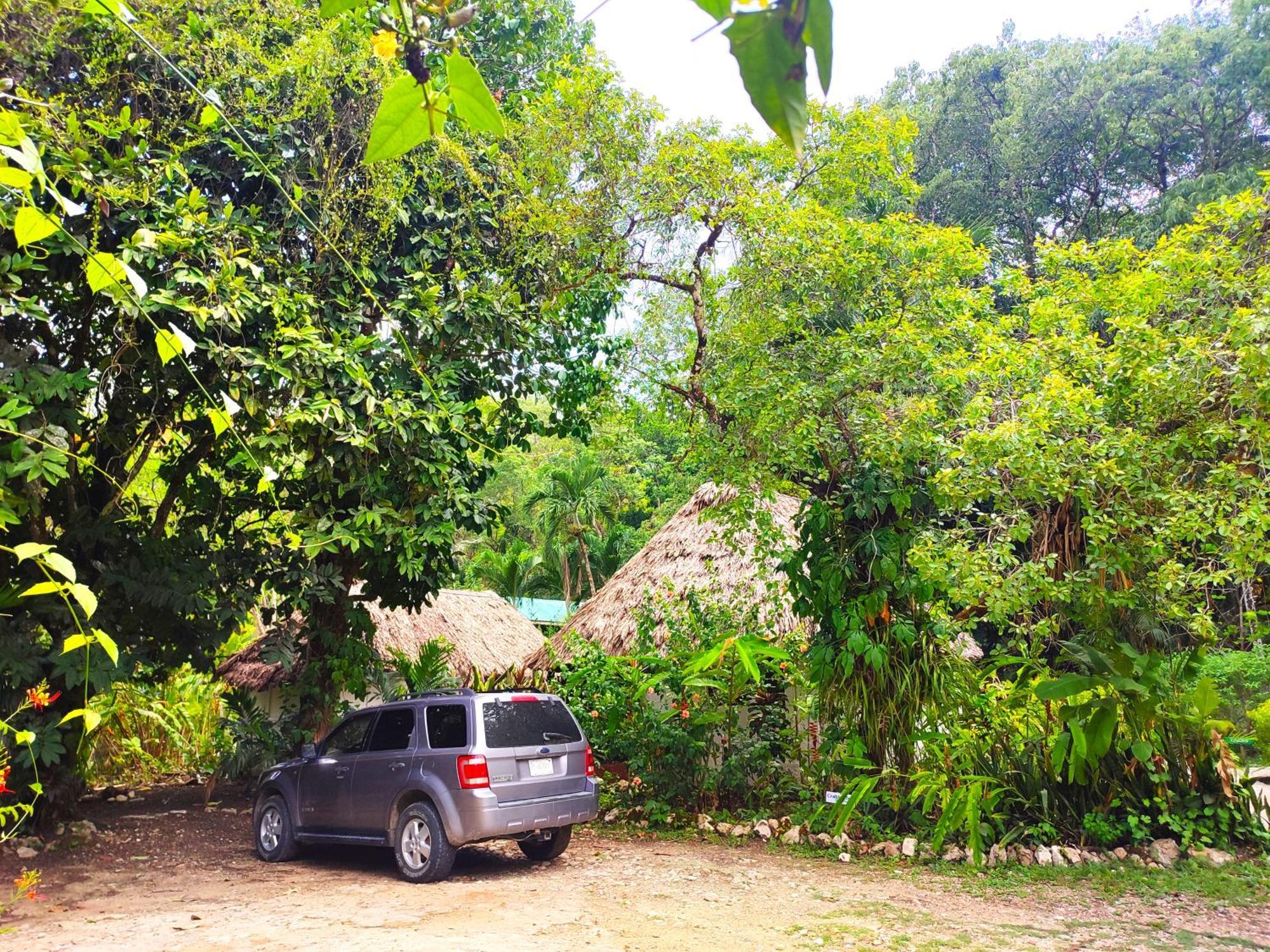 Maya Mountain Lodge San Ignacio Eksteriør billede