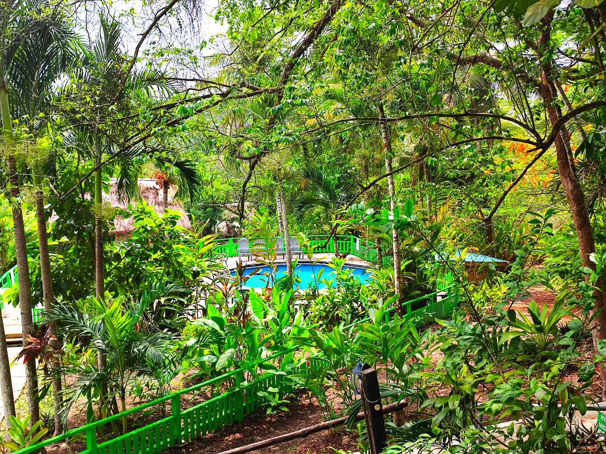 Maya Mountain Lodge San Ignacio Eksteriør billede