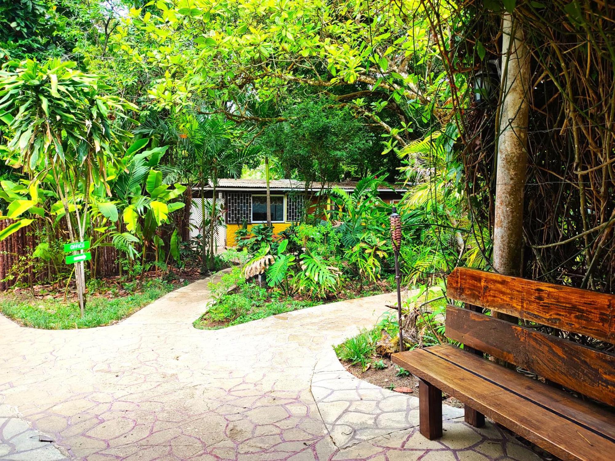 Maya Mountain Lodge San Ignacio Eksteriør billede