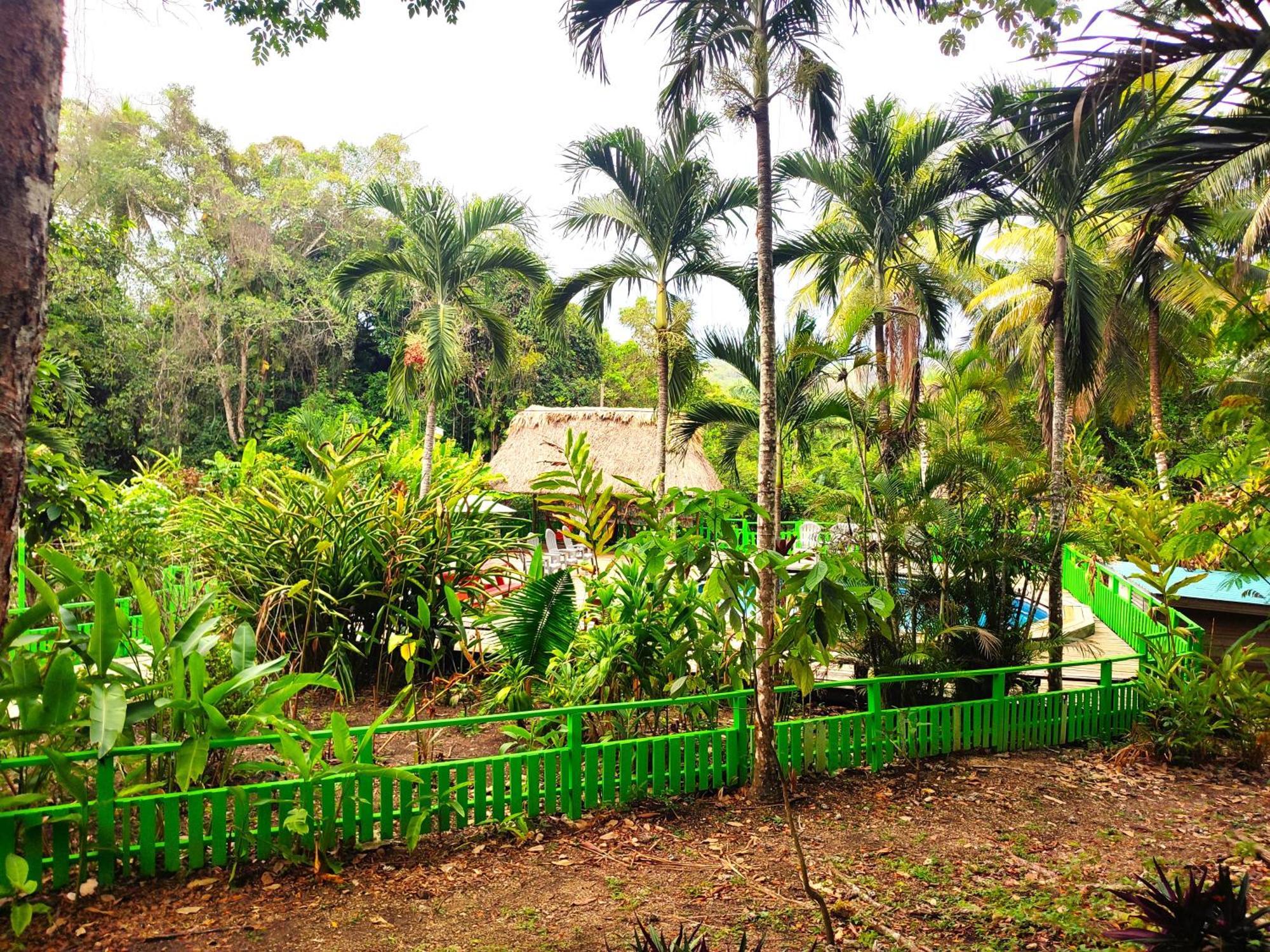 Maya Mountain Lodge San Ignacio Eksteriør billede
