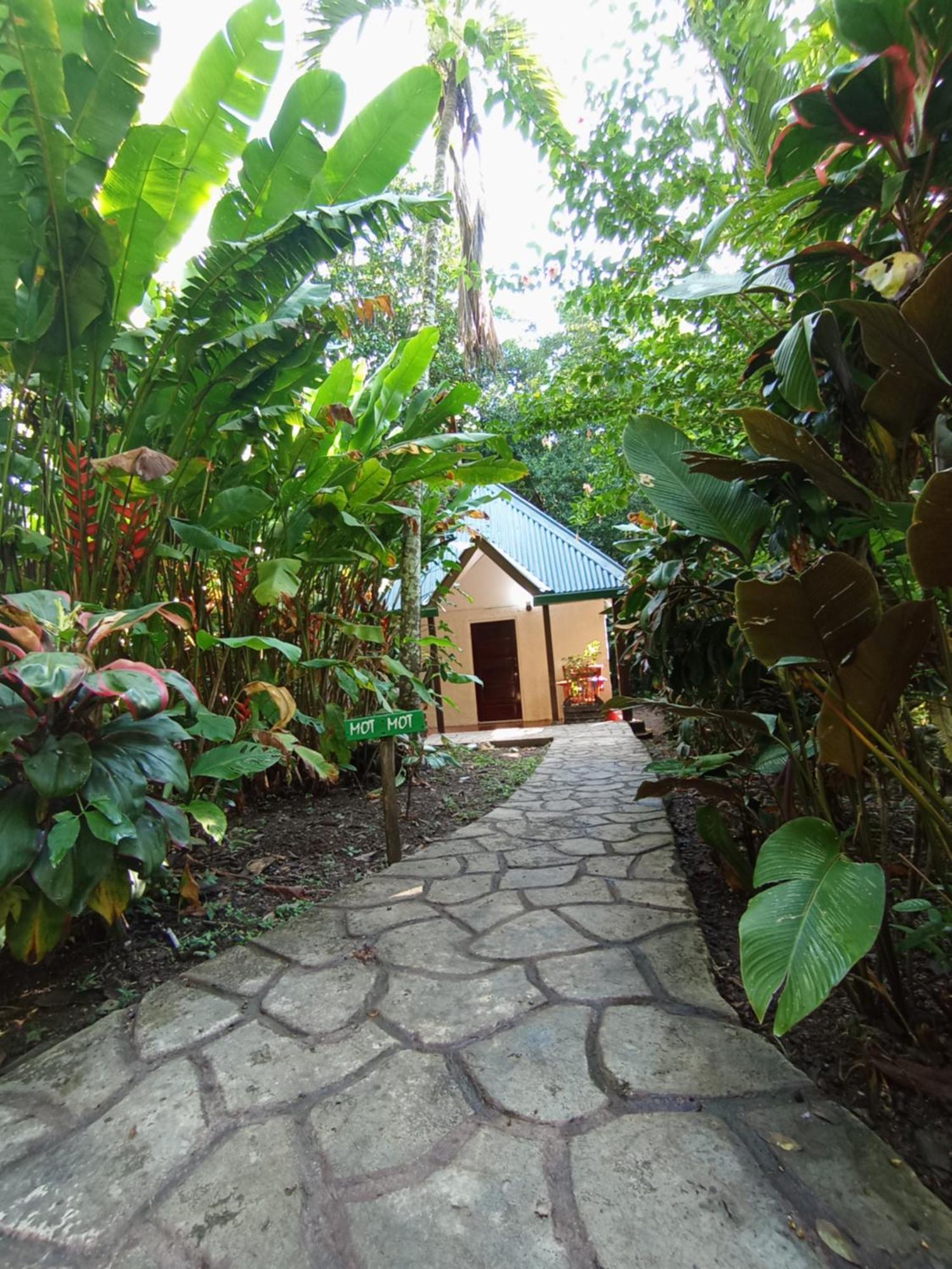 Maya Mountain Lodge San Ignacio Eksteriør billede